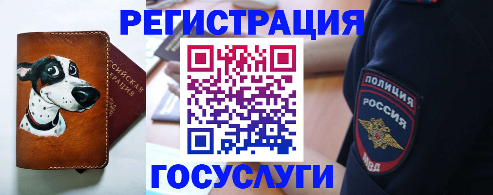 временная регистрация в квартире в Пугачёве